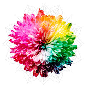 Chakra Seifen